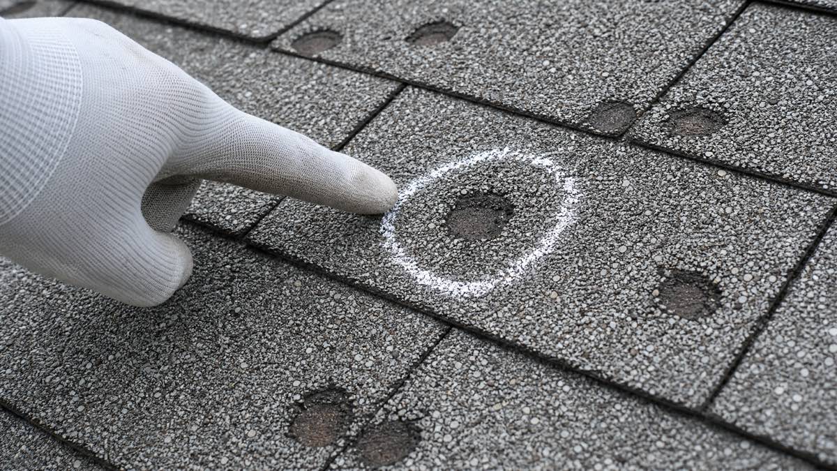 Gloved hand pointing at hail damage on an asphalt shingle roof